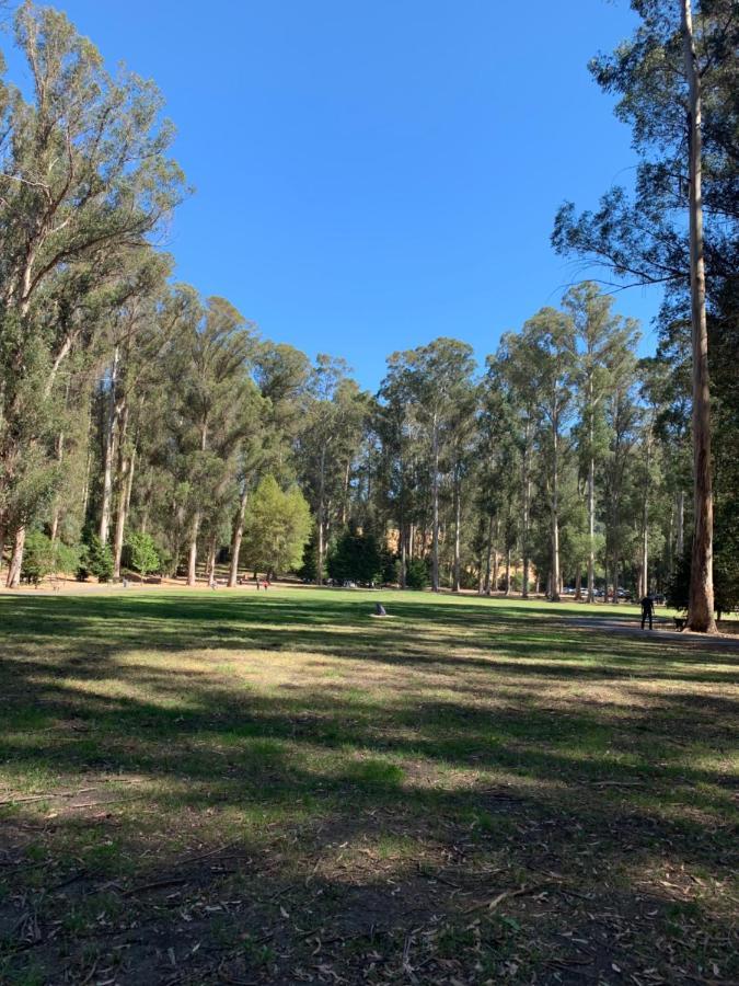 Your Most Romantic And Peaceful Getaway El Sobrante Exteriör bild