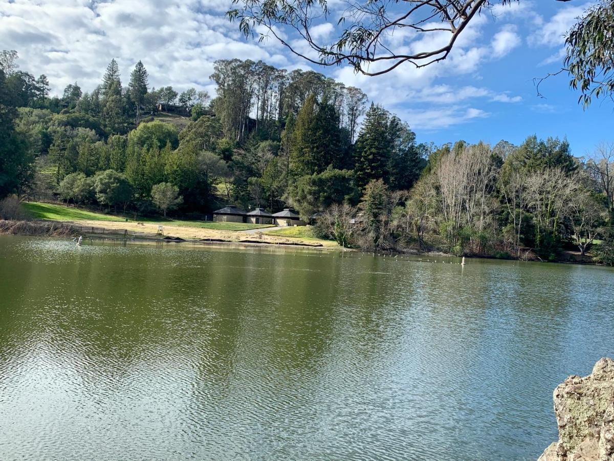 Your Most Romantic And Peaceful Getaway El Sobrante Exteriör bild