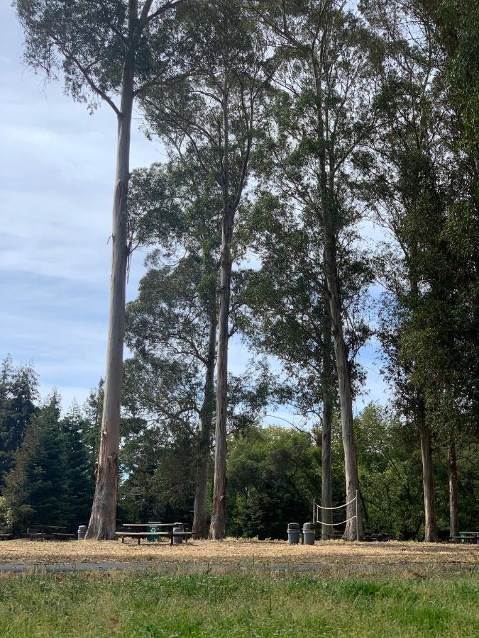 Your Most Romantic And Peaceful Getaway El Sobrante Exteriör bild