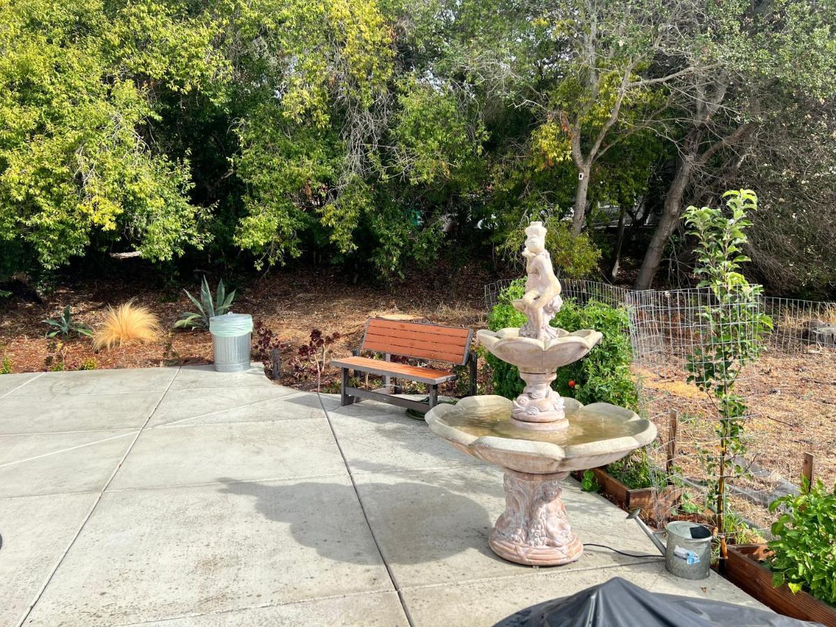 Your Most Romantic And Peaceful Getaway El Sobrante Exteriör bild